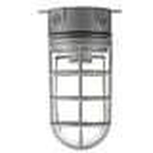 4'' VAPOURPROOF CEILING FIXTURE W/GLOBE & CAST GUARD - 100W-VISTA-VISTA-Default-Covalin Electrical Supply