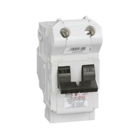 STAB-LOK THICK CIRCUIT BREAKER 125A 2 POLE PLUG IN MOUNT NA TYPE NA2P125